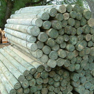 Macrocarpa timber