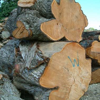 Custom Sawmilling & Contract Timber Milling