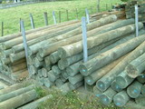 Individual Poles For Sale