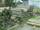 Pine Posts for Sale